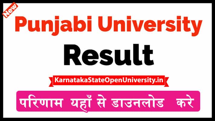 Punjabi University result
