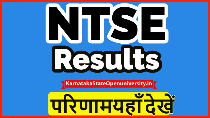 NTSE Result