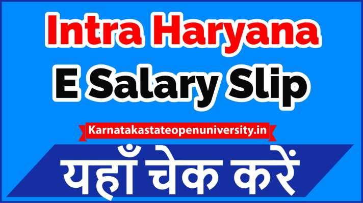Intra Haryana E Salary Slip