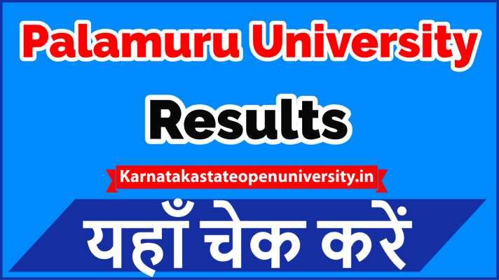 Palamuru University Result