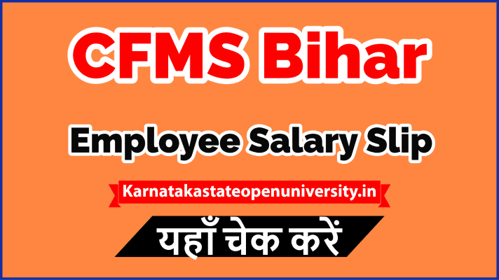 CFMS Bihar Employee Salary Slip