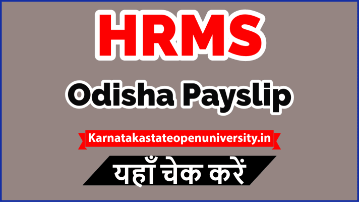 HRMS Odisha Payslip