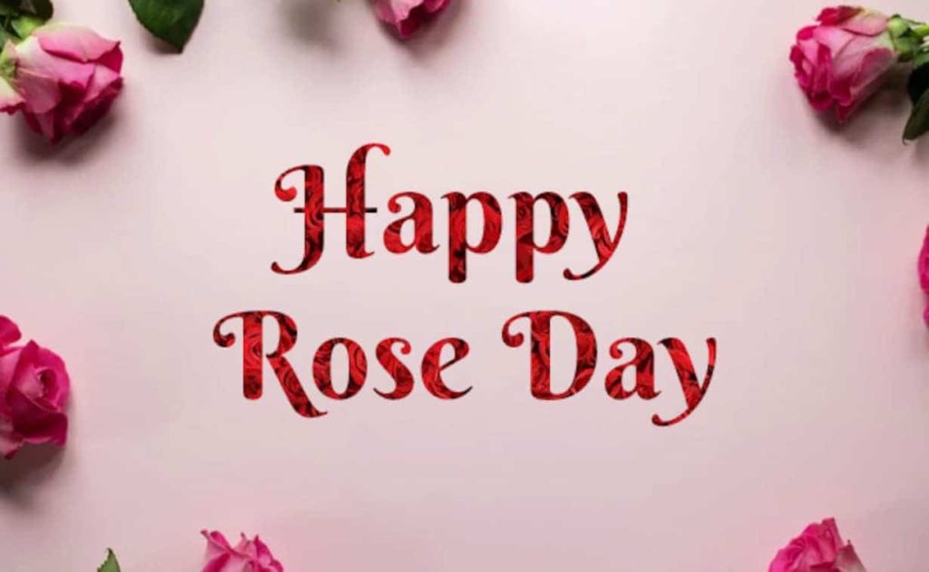 Happy Rose day Photos