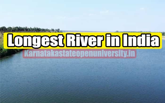 longest rivers in india