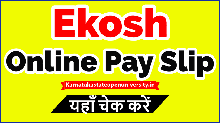 Ekosh Online Pay Slip