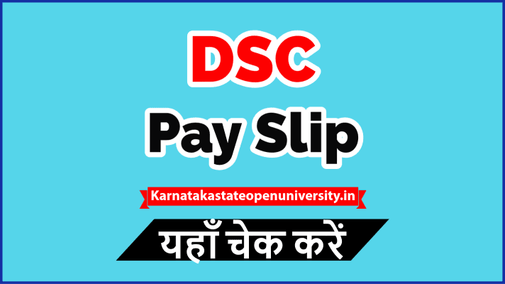 DSC Pay Slip