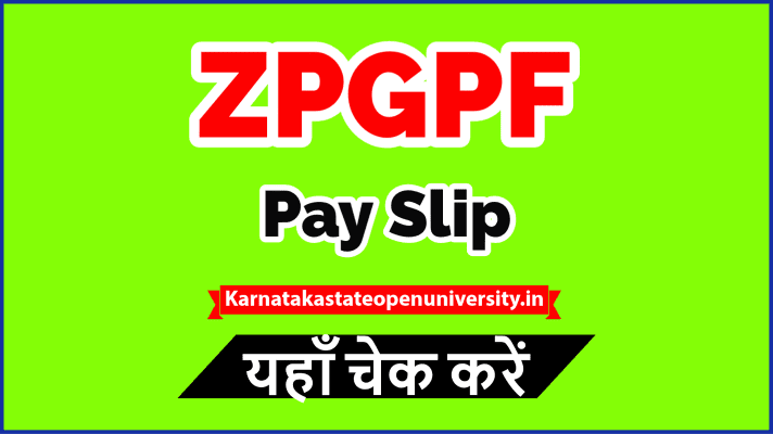 ZPGPF Pay Slip