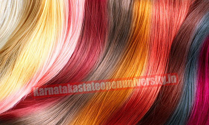 How to Dye the Underlayer of Your Hair 2023? Easy and Simple 15 Steps Full  Guide