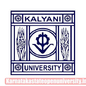 Kalyani Powertrain