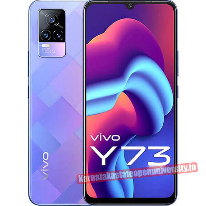 VIVO Y73 Price in India, 2023 