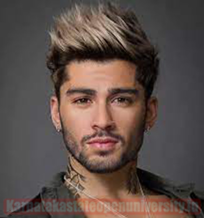 Zayn Malik Wiki Bio