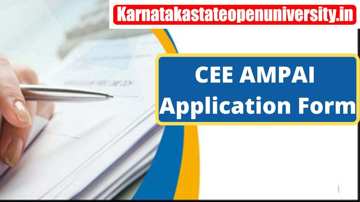 CEE AMPAI Counselling 2022