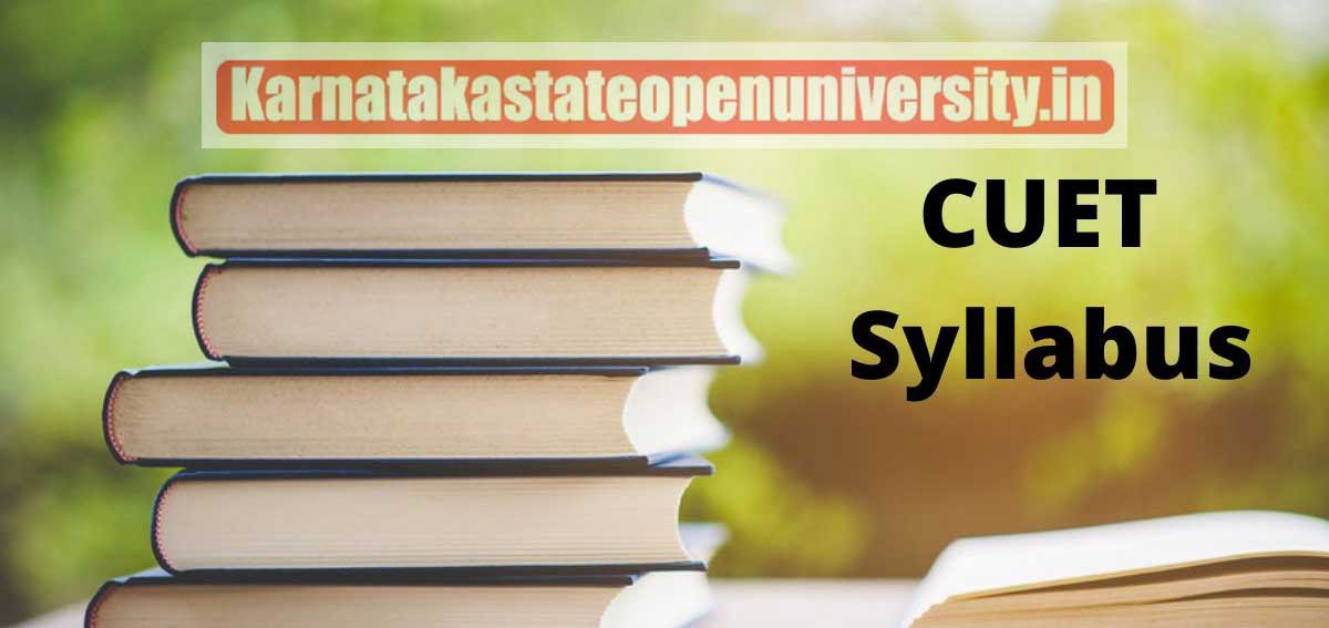 Christ University CUET Syllabus 2022