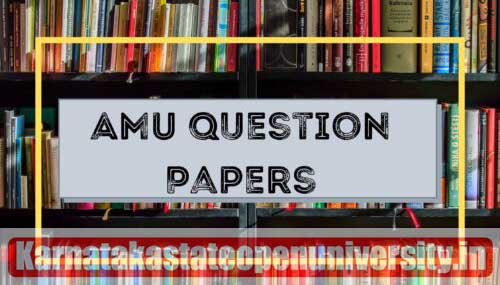 AMUEEE Previous Question Papers 2022