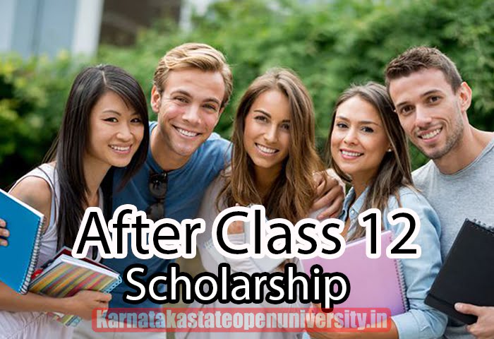 After Class 12 scholarship