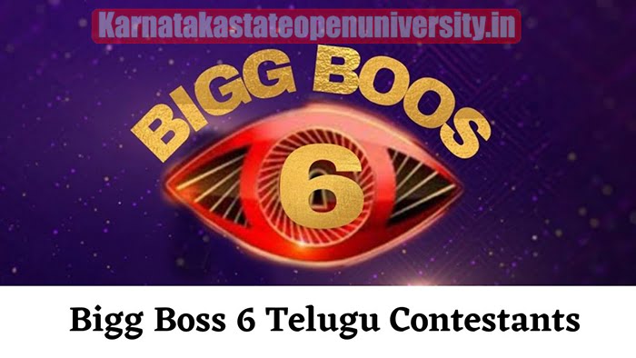 bigg boss telugu 6 contestants