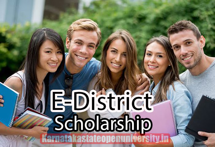 E-District scholarship