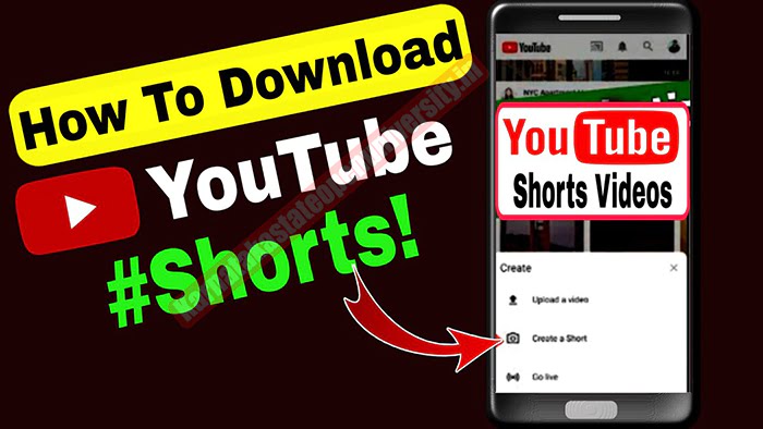 Download YouTube Shorts video 2023 How to download the YouTube Shorts