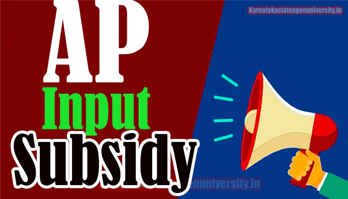 AP Input Subsidy