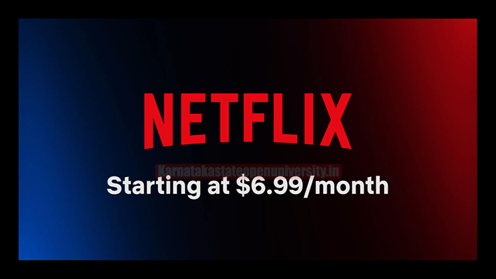 Netflix Basic with Ads subscription