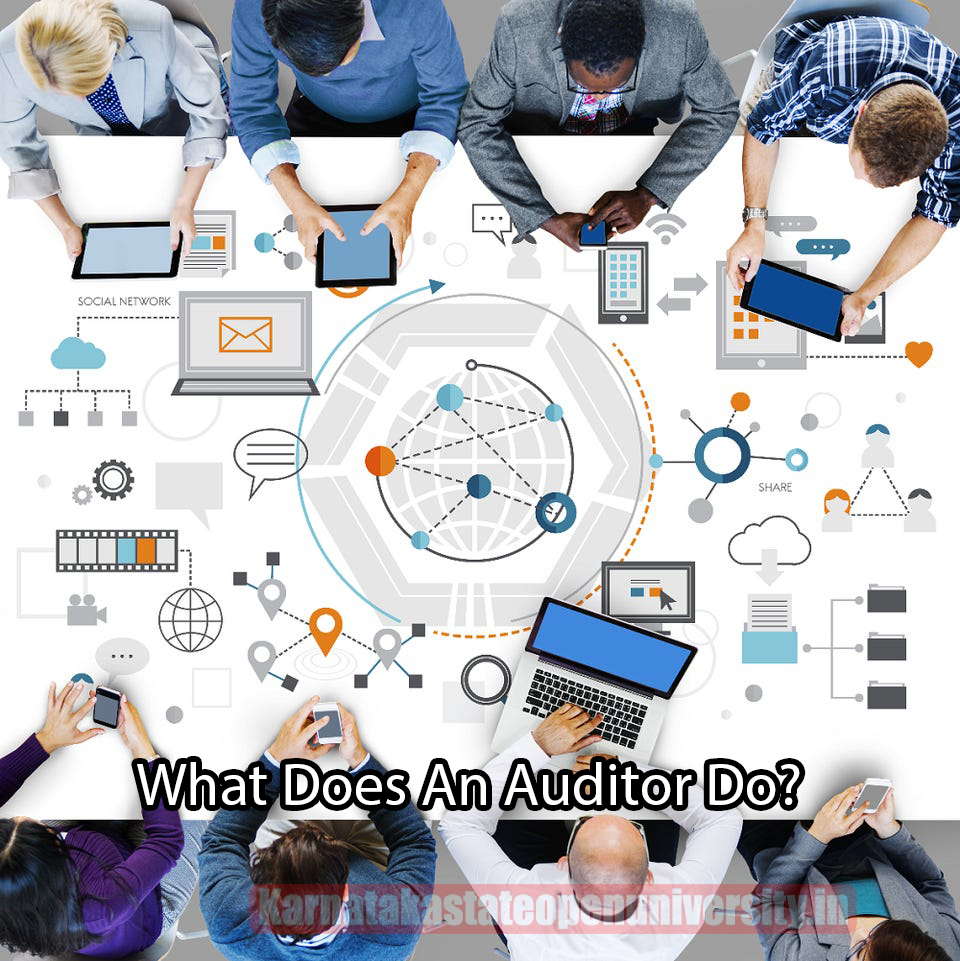 What Does An Auditor Do?