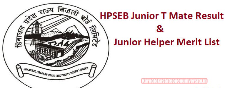 HPSEB Junior TMate, Junior Helper Result 2023