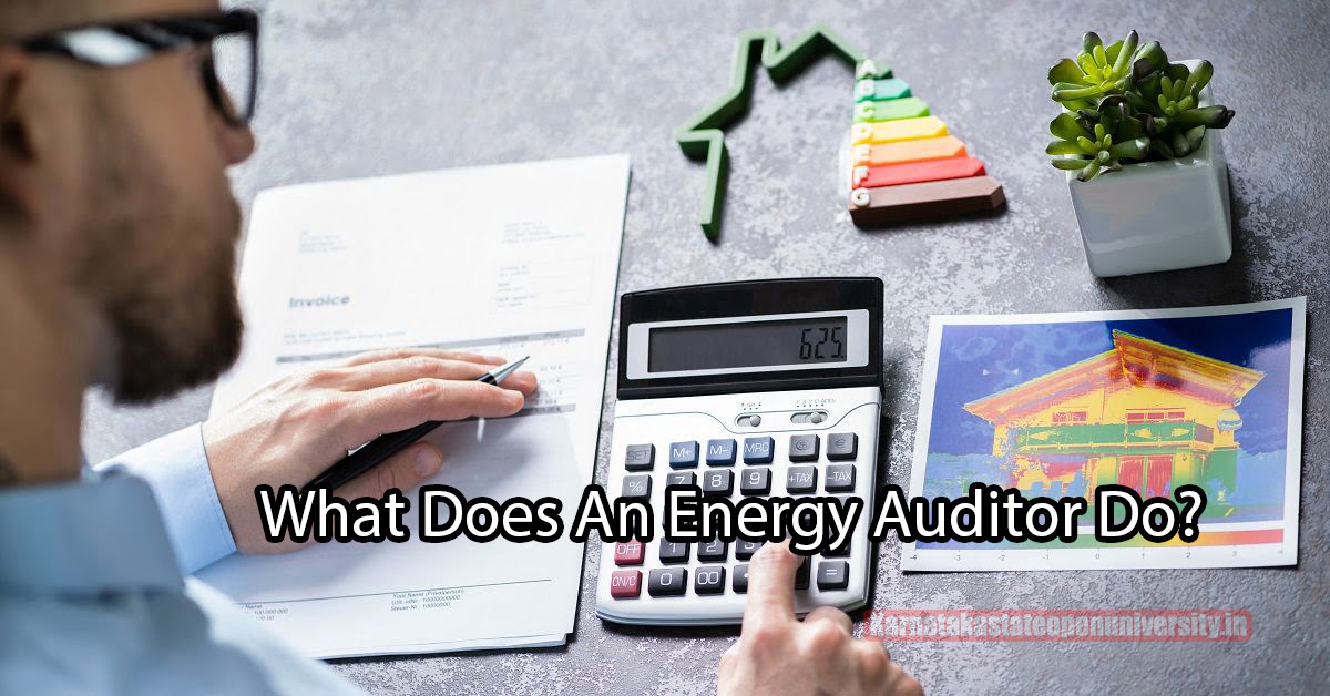 What Does An Energy Auditor Do?