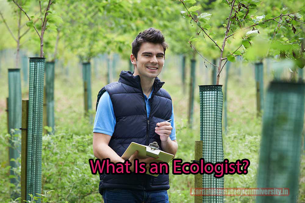 What Is an Ecologist?