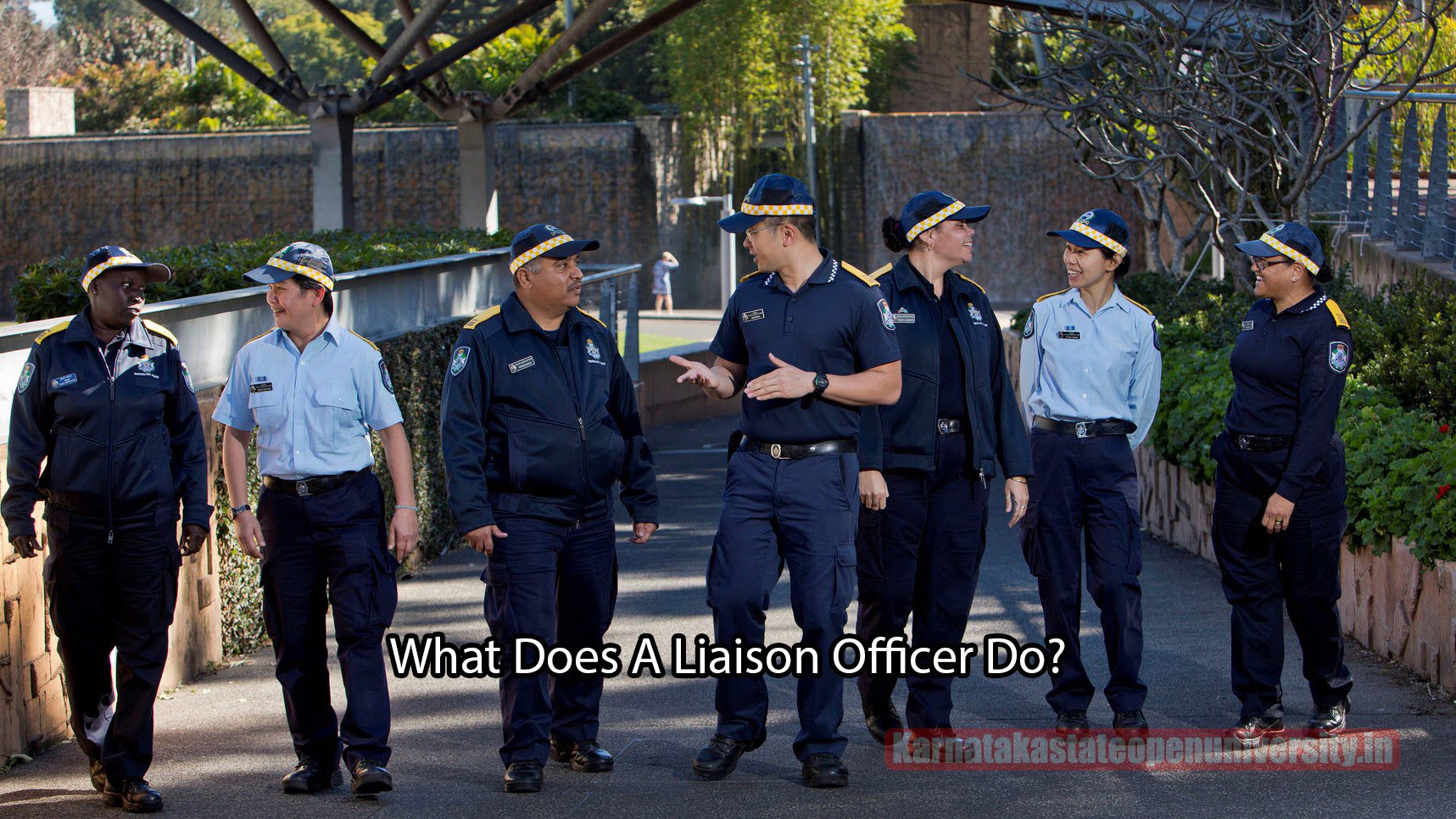 What Does A Liaison Officer Do?
