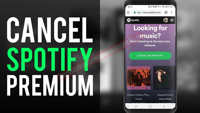 How to cancel your Spotify Premium subscription