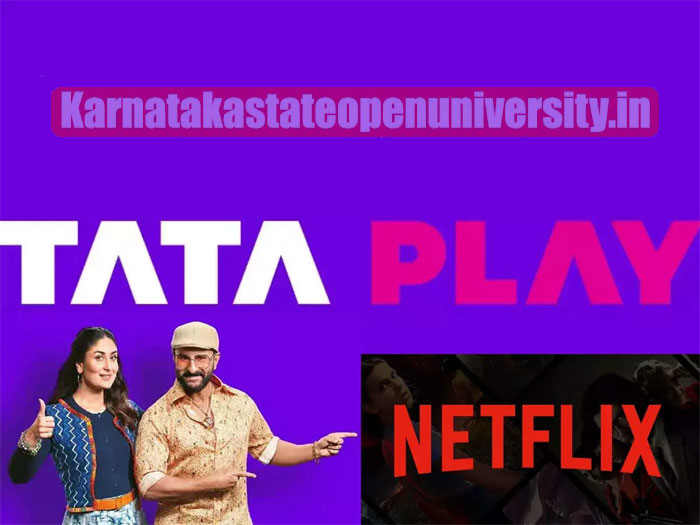 Tata Play Binge Netflix
