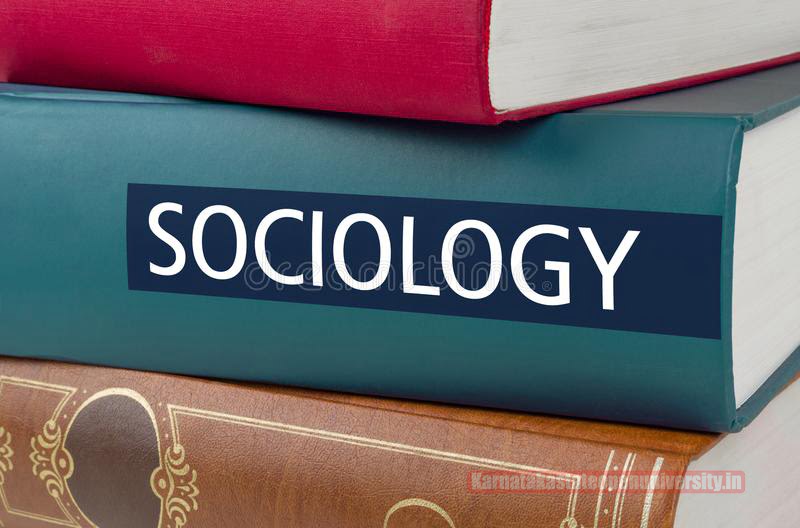 What Are The Sociology Careers Available To Candidates?