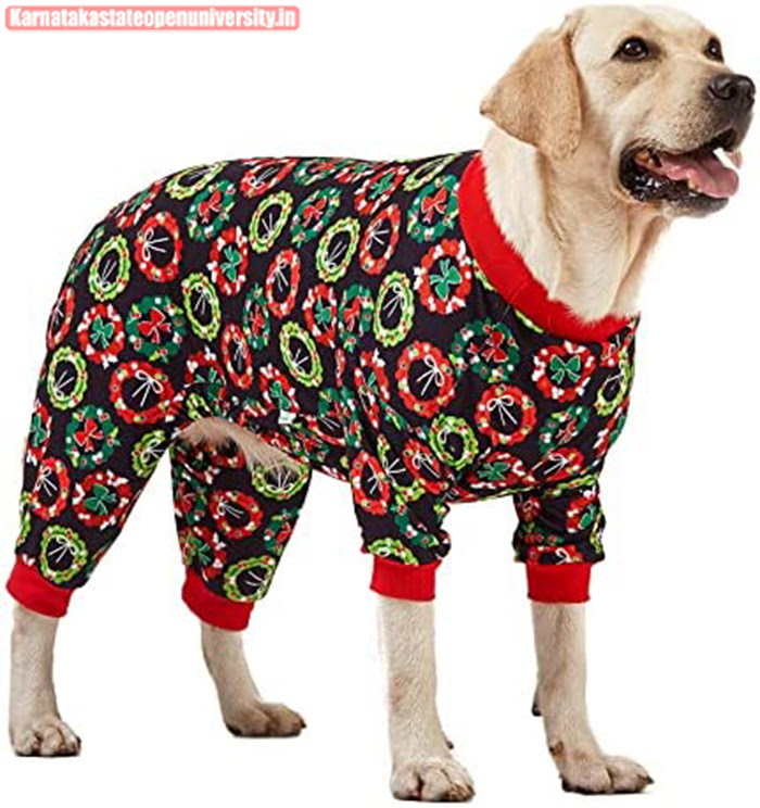 Best Christmas Pajamas For Dog 1