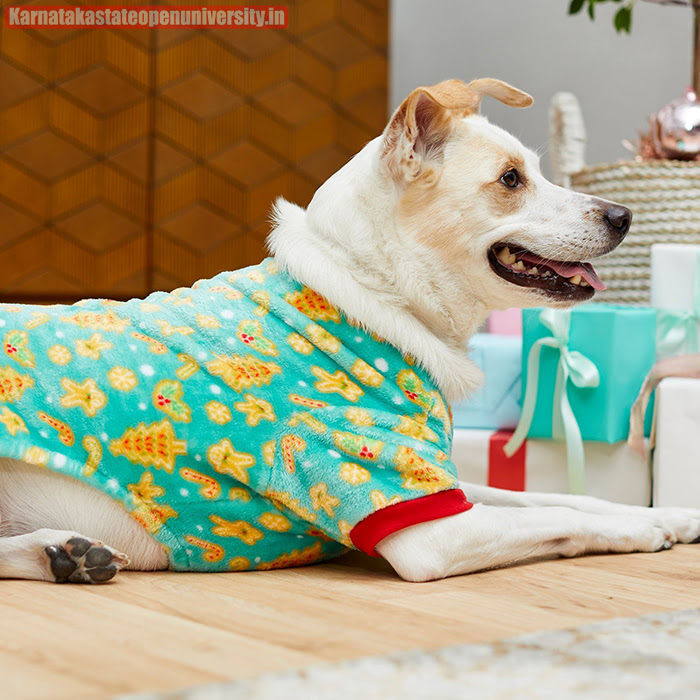 Best Christmas Pajamas For Dog 2