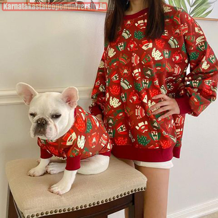 Best Christmas Pajamas For Dog 3