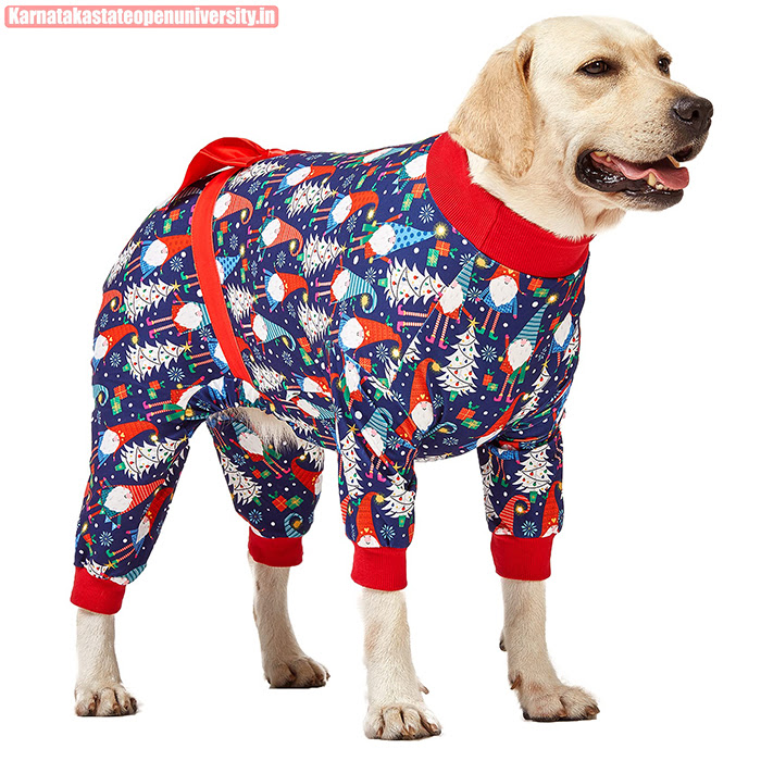 Best Christmas Pajamas For Dog