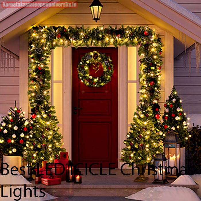 Best LED ICICLE Christmas Lights