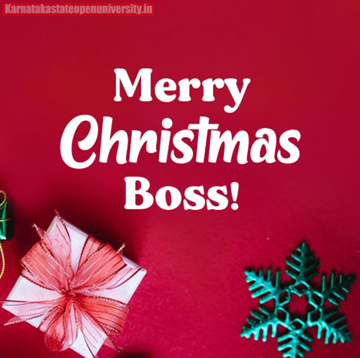 Best Merry Christmas Wishes For Boss