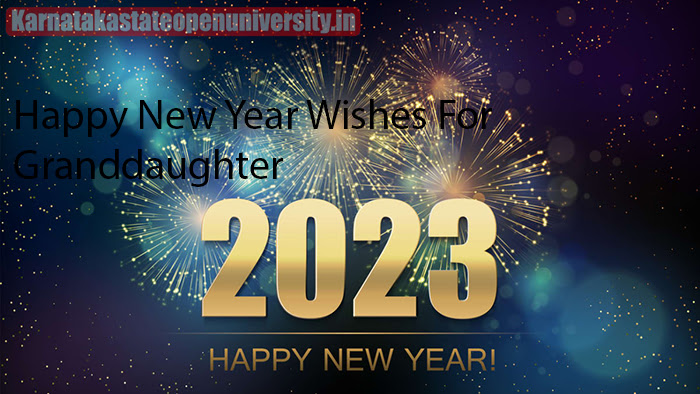 Happy New Year Wishes For Granddaughter