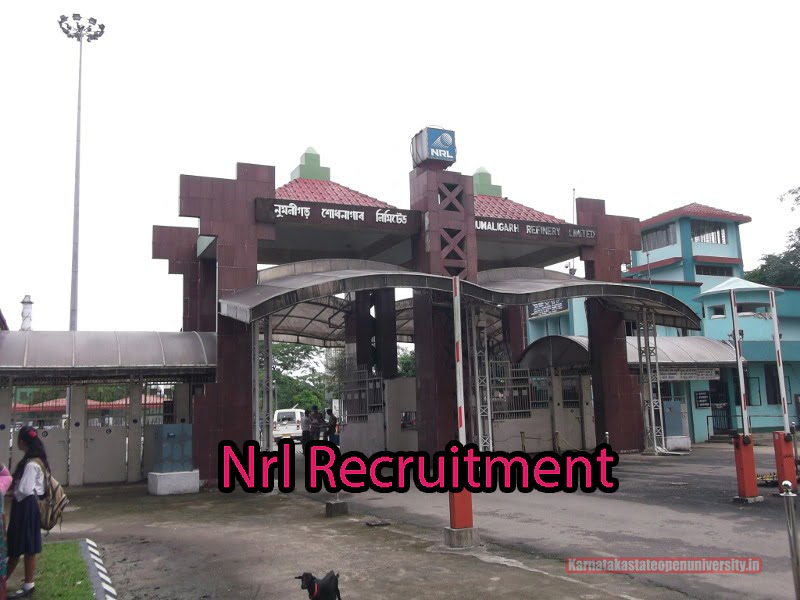 Nrl Recruitment