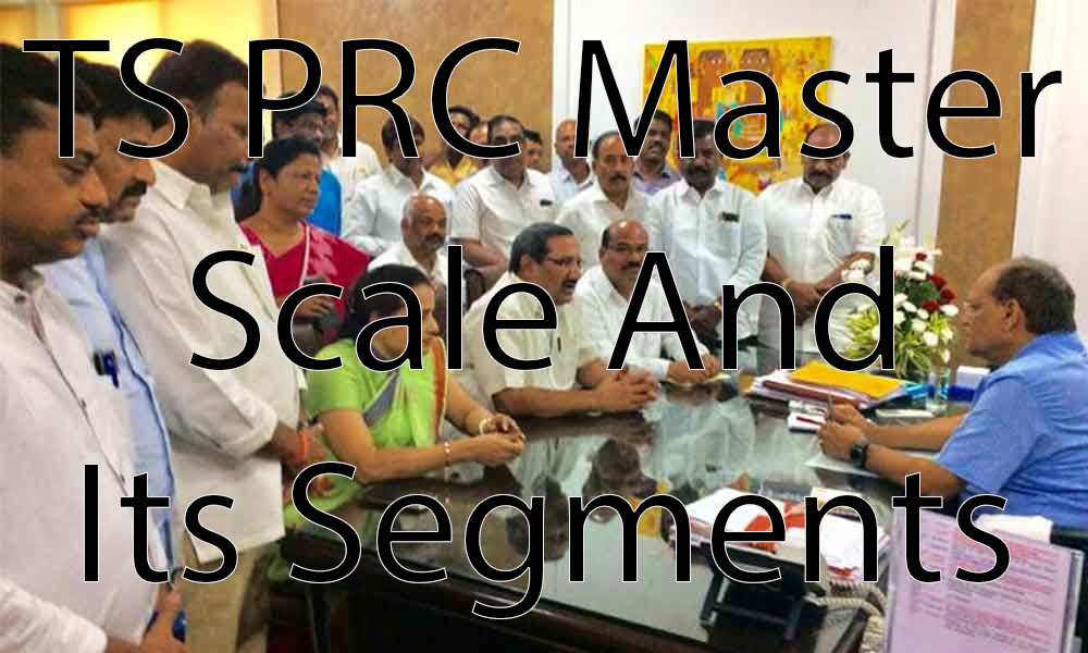 TS PRC 2023 Master Scale And Its Segments