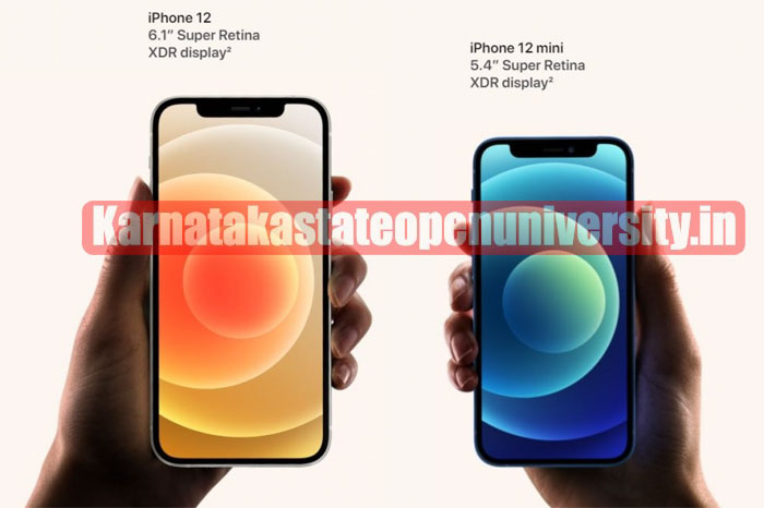 apple iphone 12 and 12 mini