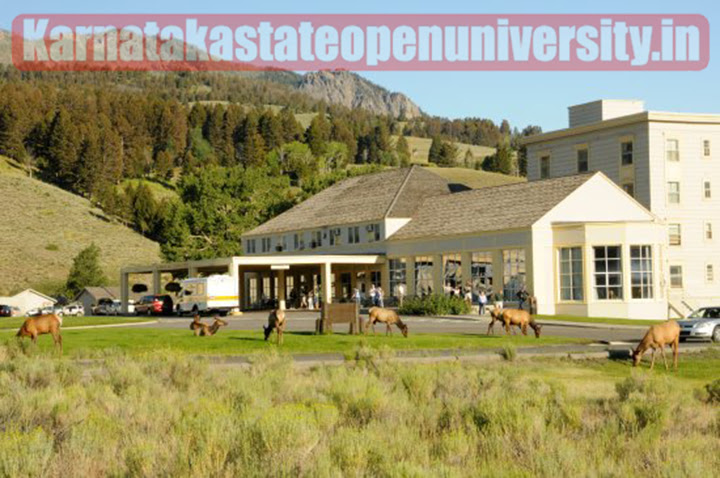 11 Best Places to Stay In Yellowstone National Park 2023 For Travel According to Tourist and Experts Reviews