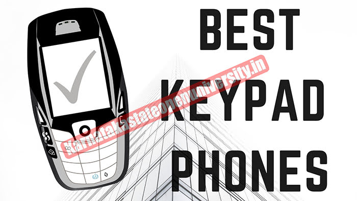 Best Keypad Phones Price in India