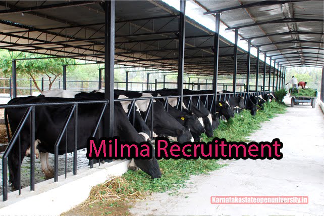 Milma Recruitment