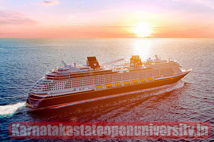 The 5 Best Large-Ship Ocean Cruise Lines According to Tourist and Experts Step by Step Full Guide