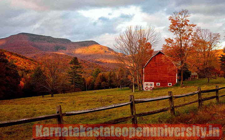 21 Best Places to See Fall Foliage in the United State 2023 According to Tourist and Experts Review 