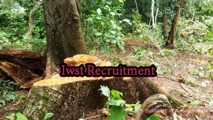 Iwst Recruitment