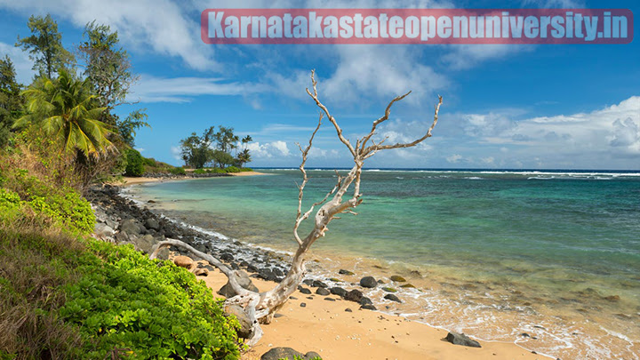 The 5 Best Islands in Hawaii 2023
