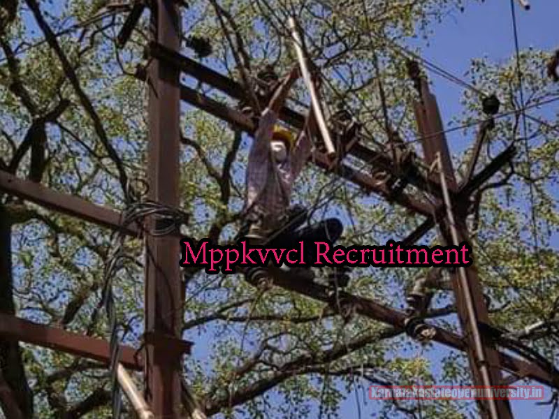 Mppkvvcl Recruitment